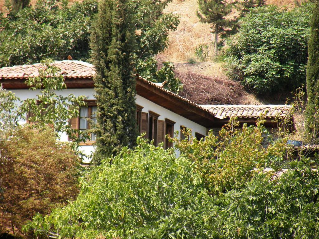 Terrace Houses Sirince Villa Selcuk Room photo